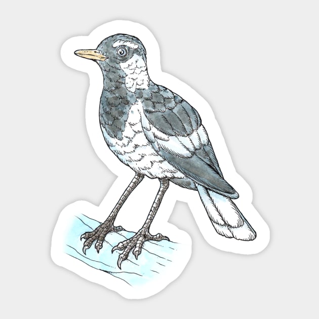 Magpie-lark Sticker by bangart